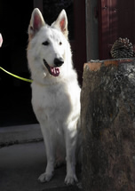 Elli vor der Haust&uuml;r in der Toskana